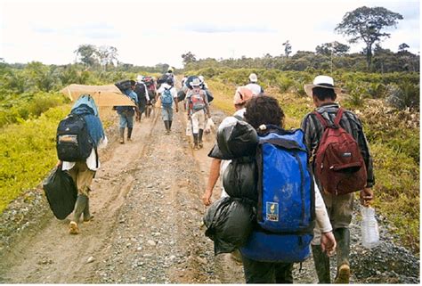 El Desplazamiento de la Comunidad Xhosa en el Siglo XI: Un Viaje Forzado por el Clima y la Competencia