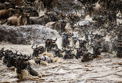  La Gran Migración de Koguryŏ: Un éxodo ancestral hacia el norte en busca de nuevas tierras y una identidad definida